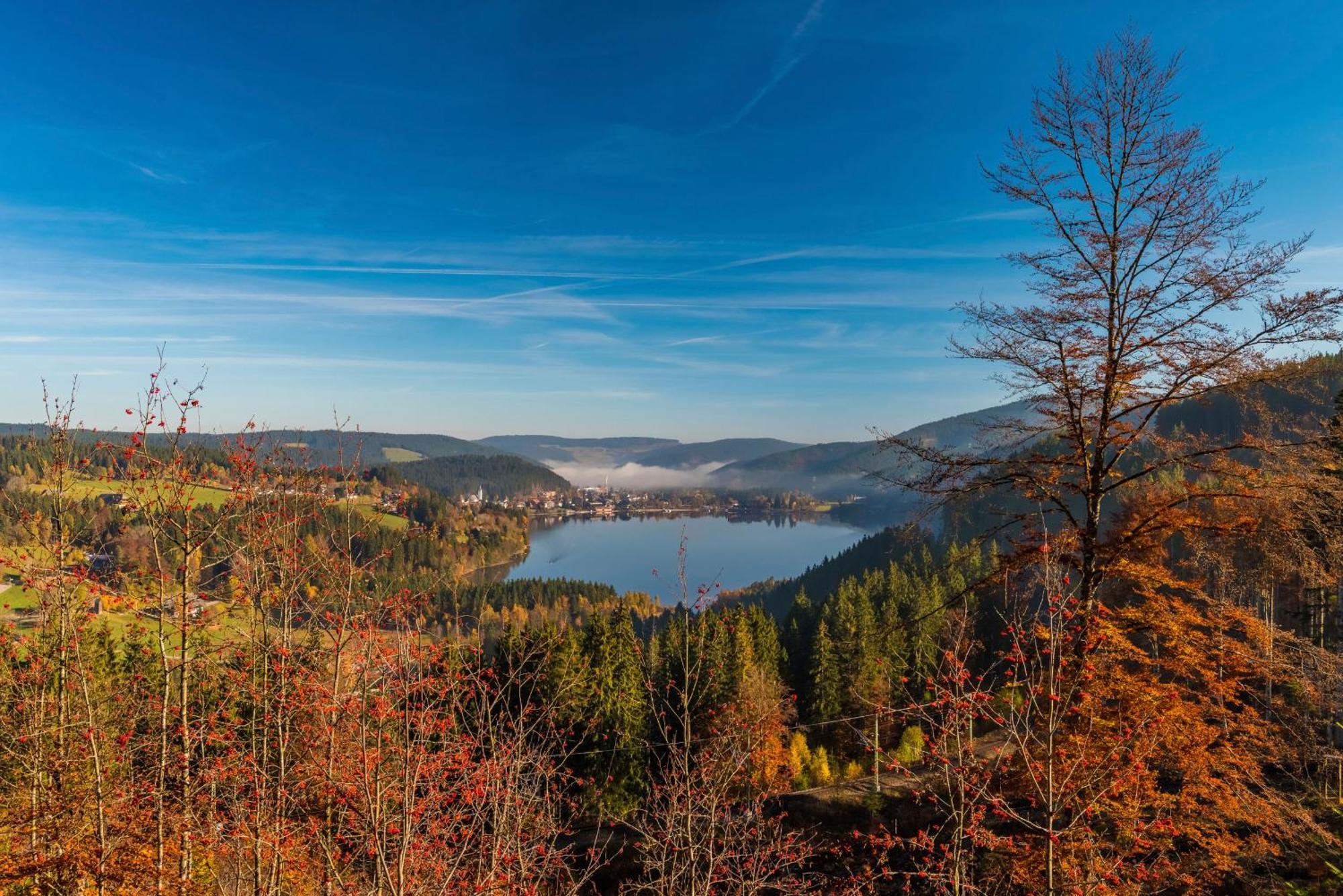 Drei Tannen - Wohnung 11 - Apartmenthaus, Titisee, Feldberg Екстер'єр фото