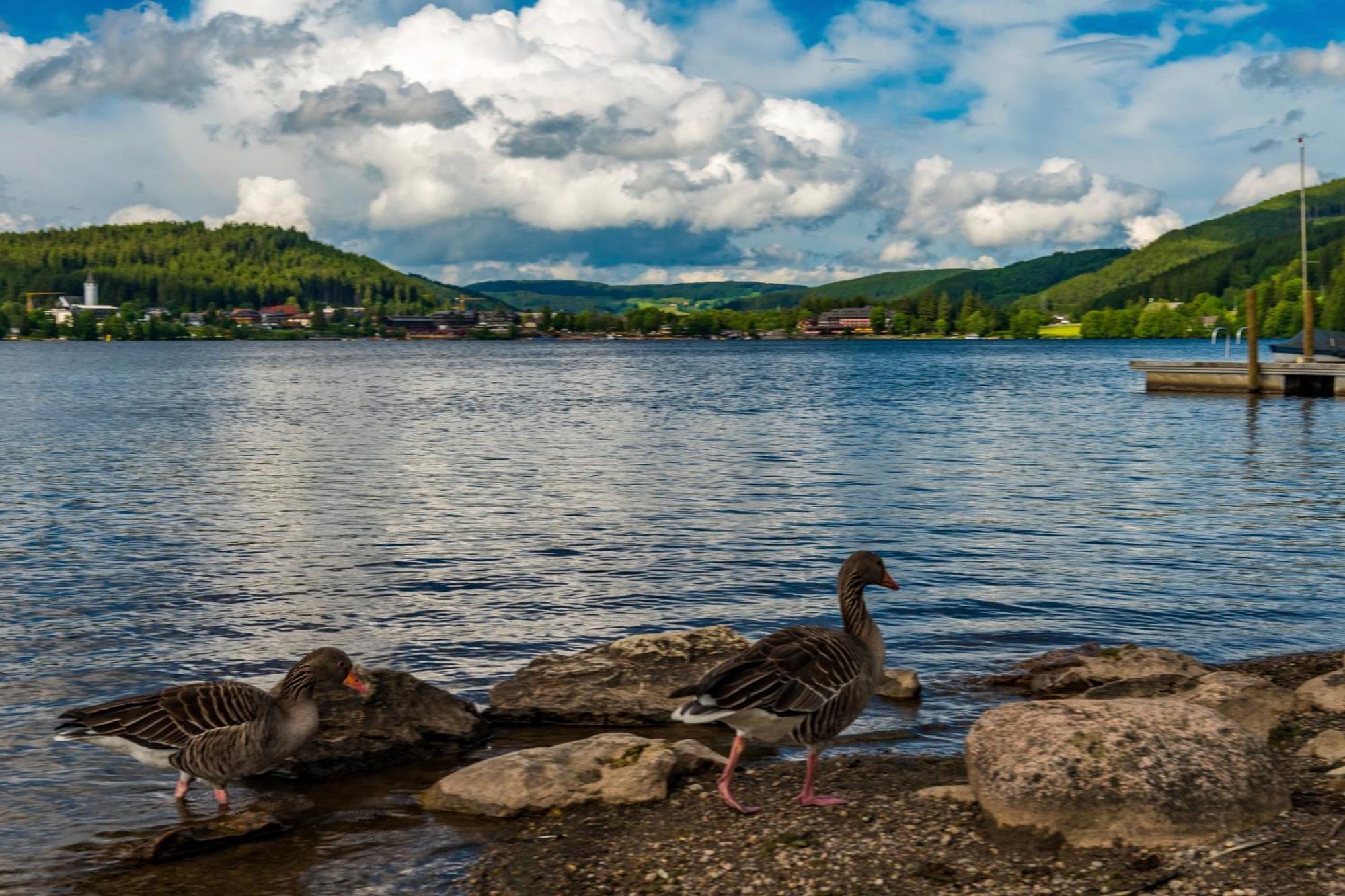 Drei Tannen - Wohnung 11 - Apartmenthaus, Titisee, Feldberg Екстер'єр фото